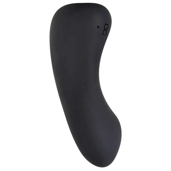 Evolved Hidden Pleasure Remote Panty Vibrator
