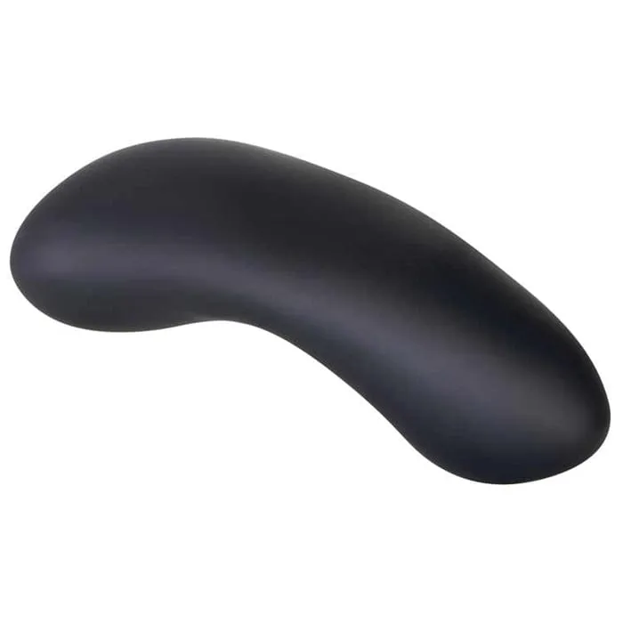 Evolved Hidden Pleasure Remote Panty Vibrator