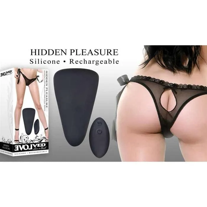 Evolved Hidden Pleasure Remote Panty Vibrator