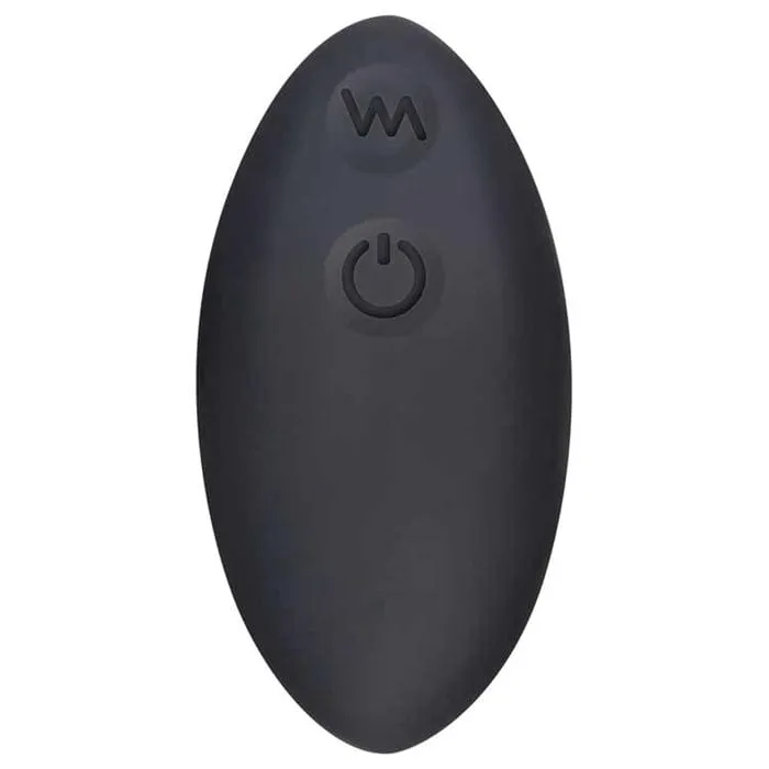 Evolved Hidden Pleasure Remote Panty Vibrator