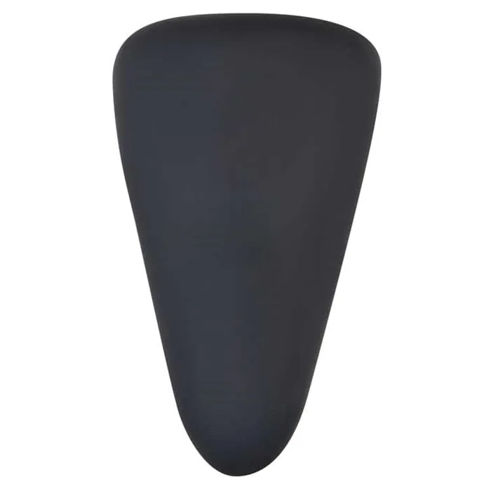 Evolved Hidden Pleasure Remote Panty Vibrator